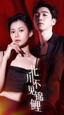 北川不見(jiàn)錦鯉(全集)