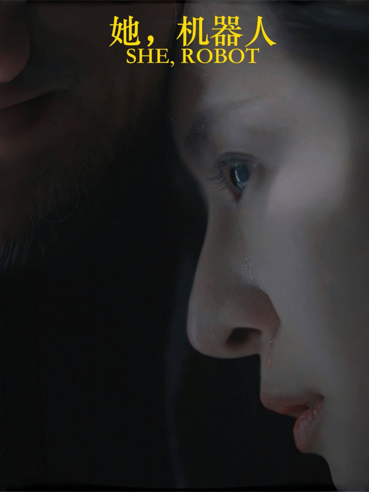 她，機器人（她機器人）(全集)