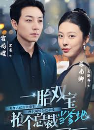 一胎雙寶，搶個總裁當?shù)?全集)