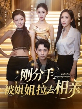 剛分手，被姐姐拉去相親(全集)