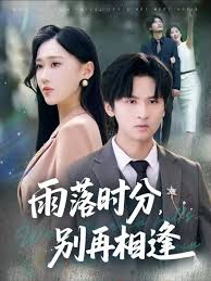 雨落時(shí)分別再相逢(全集)