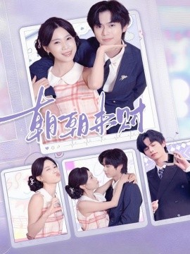 朝朝來(lái)財(cái)(全集)