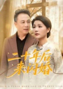 二十年后來閃婚(全集)
