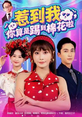 惹到我，你算是踢到棉花啦(全集)