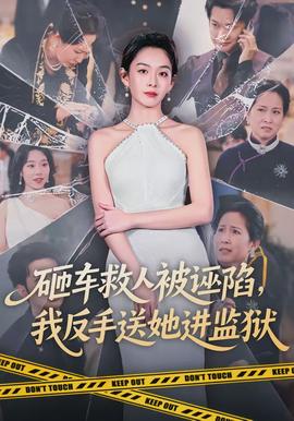 砸車救人被誣陷，我反手送她進(jìn)監(jiān)獄(全集)