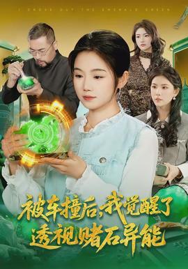 被車撞后，我覺醒了透視賭石異能了(全集)